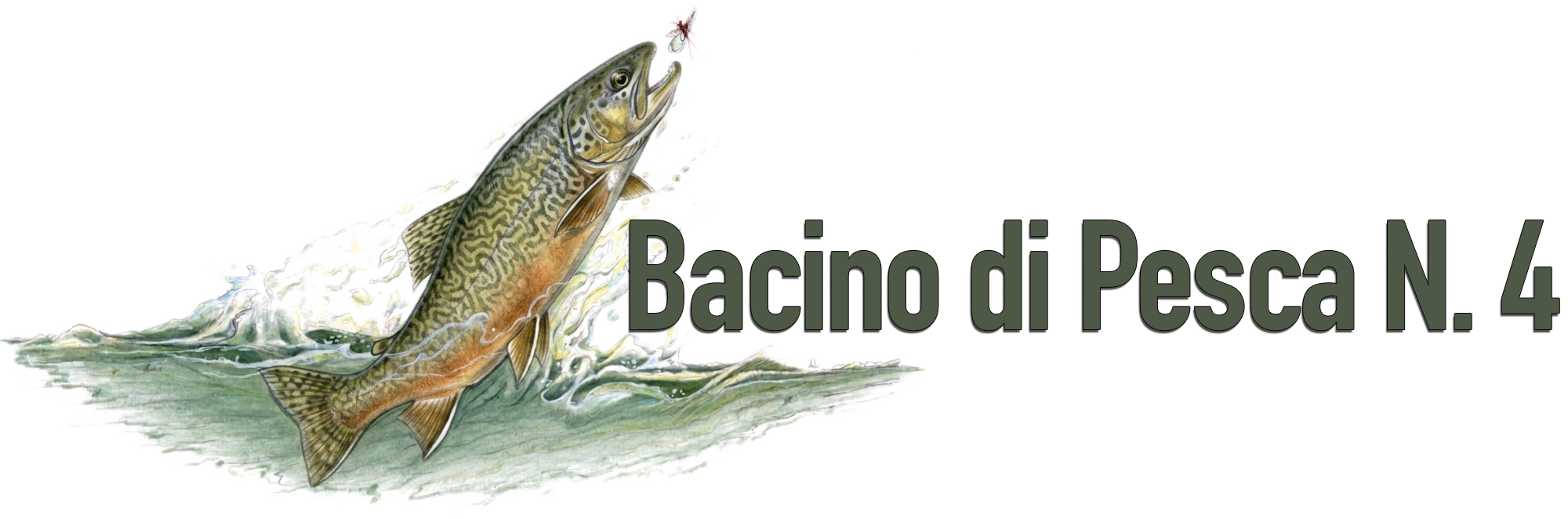 Bacino di Pesca N. 4